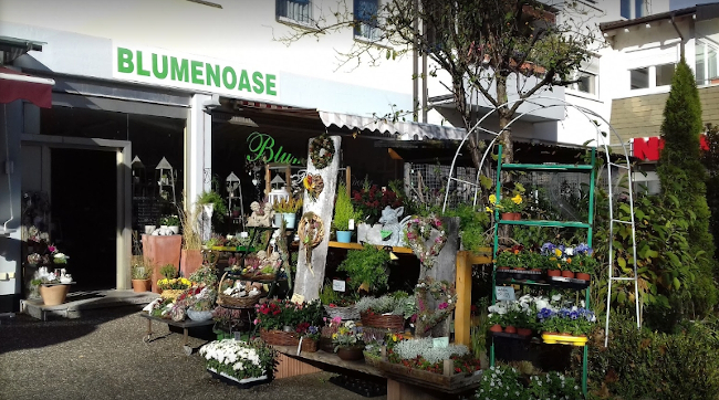 Foto Blumenoase Waldkirch-Kollnau